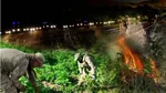Bakan Yerlikaya açıkladı: 22 zehir taciri tutuklandı
