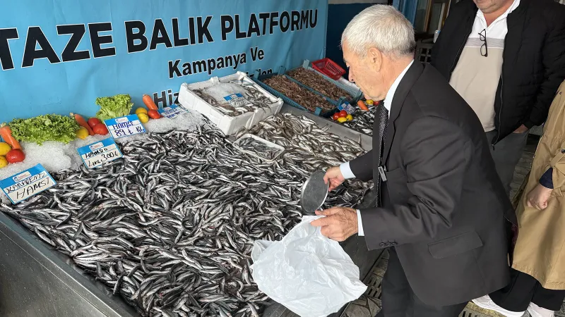 Denizlerde balık bollaştı, İstanbul'da fiyatlar 89 liraya kadar geriledi