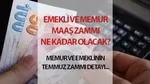 Emekli Maaşları Temmuz 2025'te Ne Kadar Olacak? İşte Zam Oranları!