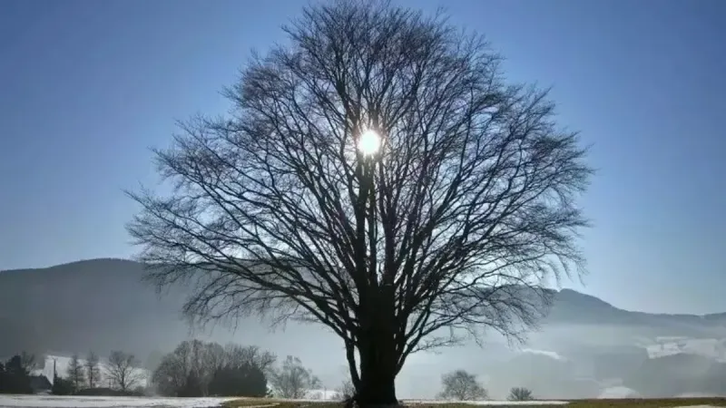 Günler Ne Zaman Uzayacak? İşte Kış Gündönümü Tarihi ve Sırları!