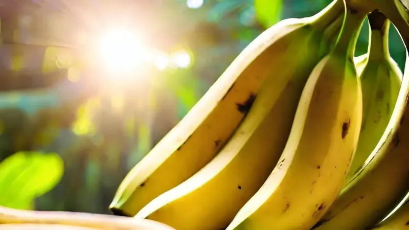 Kararan muzlara son! Çürümeyi durduran o basit saklama sırrı: 2 haftaya kadar…