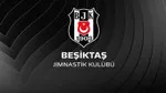 Beşiktaş'ta Seçim Rüzgarı: Adalı ve Aksoy'un Listeleri ŞOK Etti!