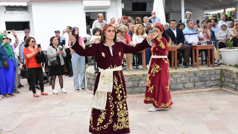 Bodrum'da Zeytin Çiçeği Festivali Coşkusu: Kaçırmayın!