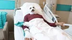 Çakmakla Gaz Kaçağı Kontrolü Faciayla Bitti! İşte O Anlar