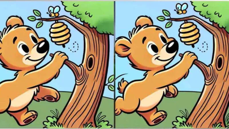 Bal Peşindeki Ayılar: 14 Saniyede 3 Farkı Bulabilir misin?
