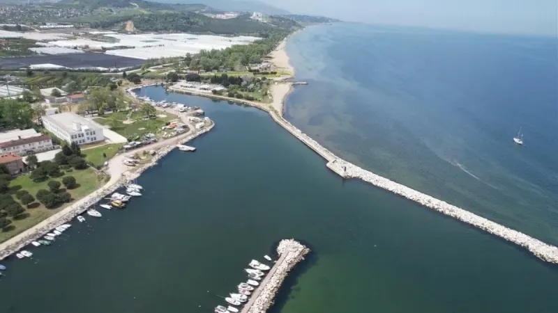Yalova'da Deniz Katliamı! 4 Milyon TL'lik Şok Ceza!