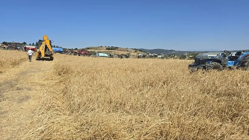 Yangına zamanında müdahale buğday tarlasını kurtardı